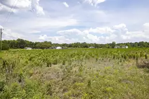3 Joseph Lemon and Dingle Rd, Manning, SC 29102 - Photo 38