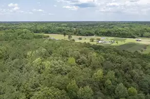 3 Joseph Lemon and Dingle Rd, Manning, SC 29102 - Photo 20