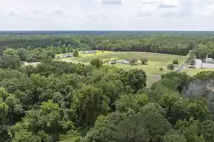 3 Joseph Lemon and Dingle Rd, Manning, SC 29102 - Photo 24