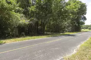 3 Joseph Lemon and Dingle Rd, Manning, SC 29102 - Photo 4