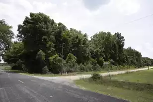 4 Joseph Lemon and Dingle Rd, Manning, SC 29102 - Photo 2