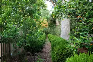 1299 Old Towne Rd, Charleston, SC 29407 - Photo 24