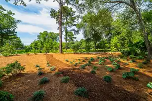 3051 Eventide, Johns Island, SC 29455 - Photo 12