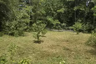 0 N Hampton Lot 2 St, Summerville, SC 29485 - Photo 1