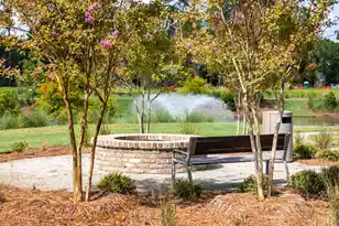 2300 Minifarm Wy, Mount Pleasant, SC 29466 - Photo 50