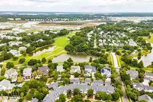 67 Delahow St, Daniel Island, SC 29492 - Photo 132