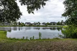 2528 Bent Tree Ln, Mount Pleasant, SC 29464 - Photo 52