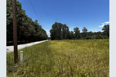 0 Cane Branch Road, Walterboro, SC 29488 - Photo 1