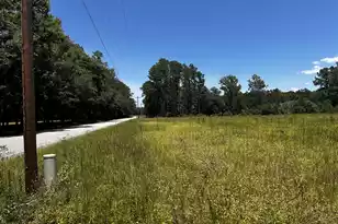 0 Cane Branch Rd, Walterboro, SC 29488 - Photo 1