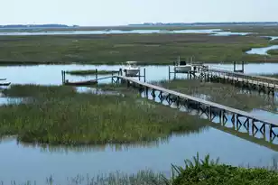5027 Barrier Island Ct, Mount Pleasant, SC 29466 - Photo 2