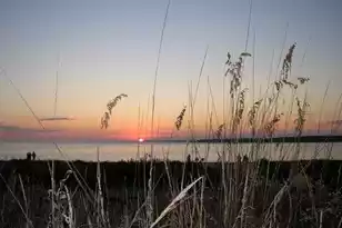 2001 Long Bend, Seabrook Island, SC 29455 - Photo 50