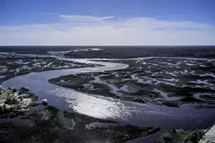 545 Towles Crossing Dr, Johns Island, SC 29455 - Photo 100