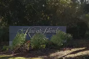 132 Fernbank Road Ct, Johns Island, SC 29455 - Photo 38