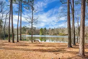 1 Santee Lakes Ct, Elloree, SC 29047 - Photo 64