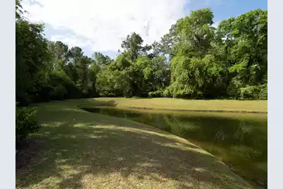 3040 Treadwell Street, Mount Pleasant, SC 29466 - Photo 46