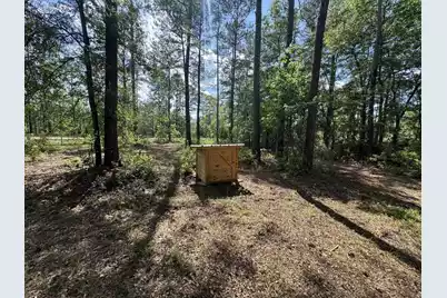 3452 Cypress Pond Road, Walterboro, SC 29488 - Photo 8
