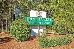 1016 Maidstone Dr, Summerville, SC 29483 - Photo 38