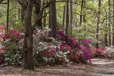 205 Holly Inn Road, Summerville, SC 29483 - Photo 58