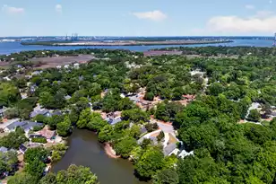 691 Blue Heron, Mount Pleasant, SC 29464 - Photo 42