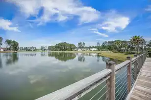 253 Tupelo Lake Dr, Summerville, SC 29486 - Photo 66