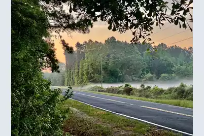 0 Wire Road, Reevesville, SC 29471 - Photo 6
