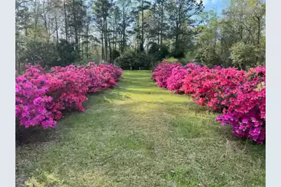 0 Wire Road, Reevesville, SC 29471 - Photo 8