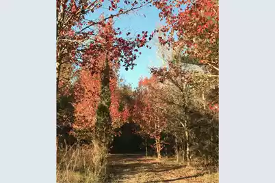 0 Wire Road, Reevesville, SC 29471 - Photo 12