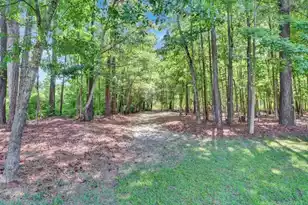 1181 Old Hwy 6, Cross, SC 29436 - Photo 50