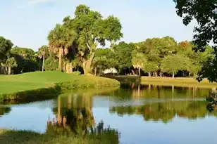 4 Sandpiper Ct, Isle Of Palms, SC 29451 - Photo 26