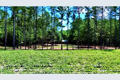 1970 Cross Swamp Road, Lodge, SC 29082 - Photo 26