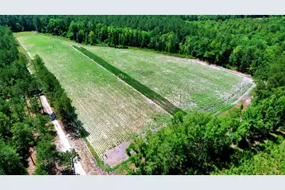 1970 Cross Swamp Road, Lodge, SC 29082 - Photo 48