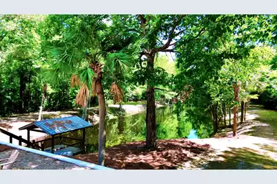 1970 Cross Swamp Road, Lodge, SC 29082 - Photo 6