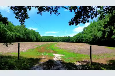 1970 Cross Swamp Road, Lodge, SC 29082 - Photo 132