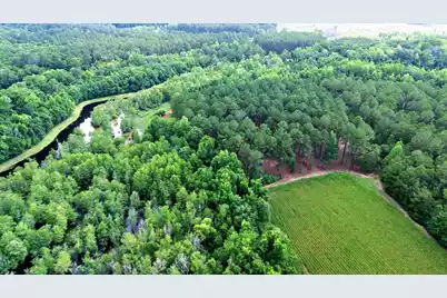 1970 Cross Swamp Road, Lodge, SC 29082 - Photo 126