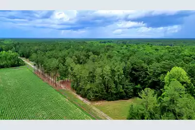 1970 Cross Swamp Road, Lodge, SC 29082 - Photo 12