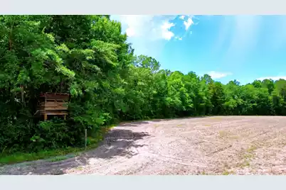 1970 Cross Swamp Road, Lodge, SC 29082 - Photo 136