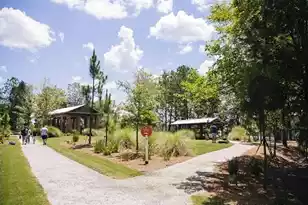 1044 Lettered Olive Ln, Summerville, SC 29485 - Photo 30