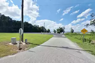 155 Stumphole Rd, Elloree, SC 29047 - Photo 18