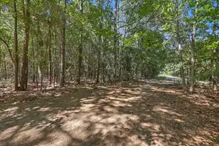 Lot 6 Nelson View Dr, Mount Pleasant, SC 29429 - Photo 1