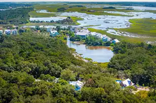 8258 Jack Is Dr, Johns Island, SC 29455 - Photo 60