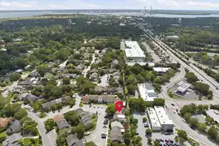 733 Ralston Ct, Mount Pleasant, SC 29464 - Photo 30