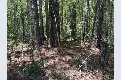 00 Highway 17A, Bonneau, SC 29431 - Photo 8