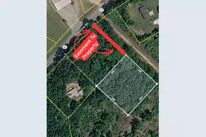 0 Norway Road, Orangeburg, SC 29115 - Photo 6