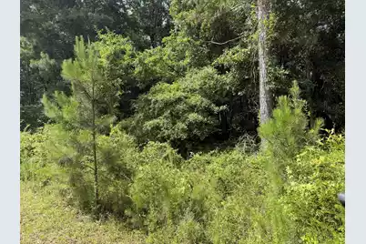 0 Norway Road, Orangeburg, SC 29115 - Photo 2