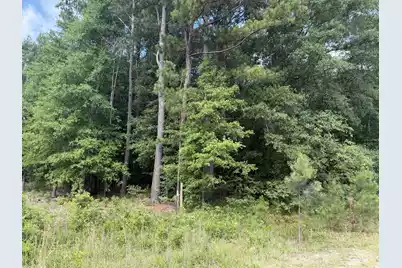 0 Norway Road, Orangeburg, SC 29115 - Photo 4