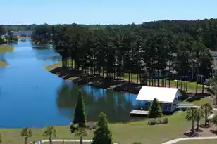 141 Calm Water Way, Summerville, SC 29486 - Photo 70