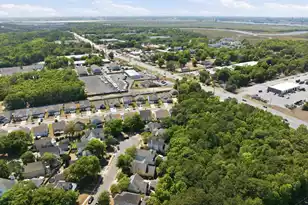 110 Franklin Retreat Ct, Charleston, SC 29492 - Photo 46