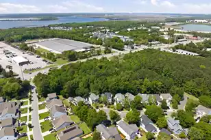 110 Franklin Retreat Ct, Charleston, SC 29492 - Photo 44