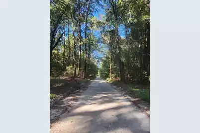 209 Ash Hill Drive, Eutawville, SC 29048 - Photo 10