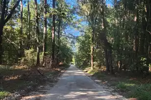 209 Ash Hill Dr, Eutawville, SC 29048 - Photo 10